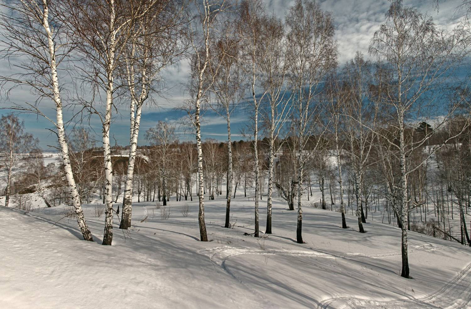 , Алексей Хахлов