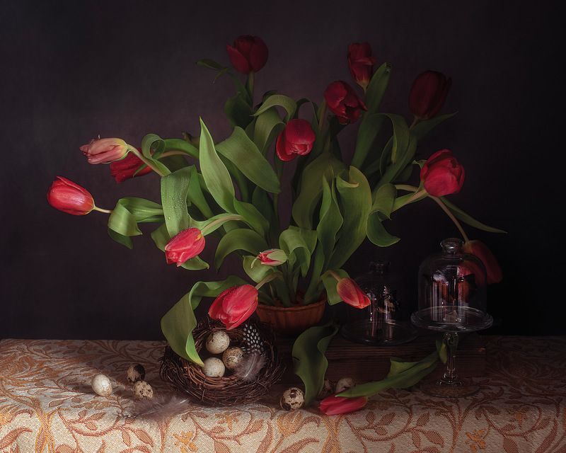 фото превью