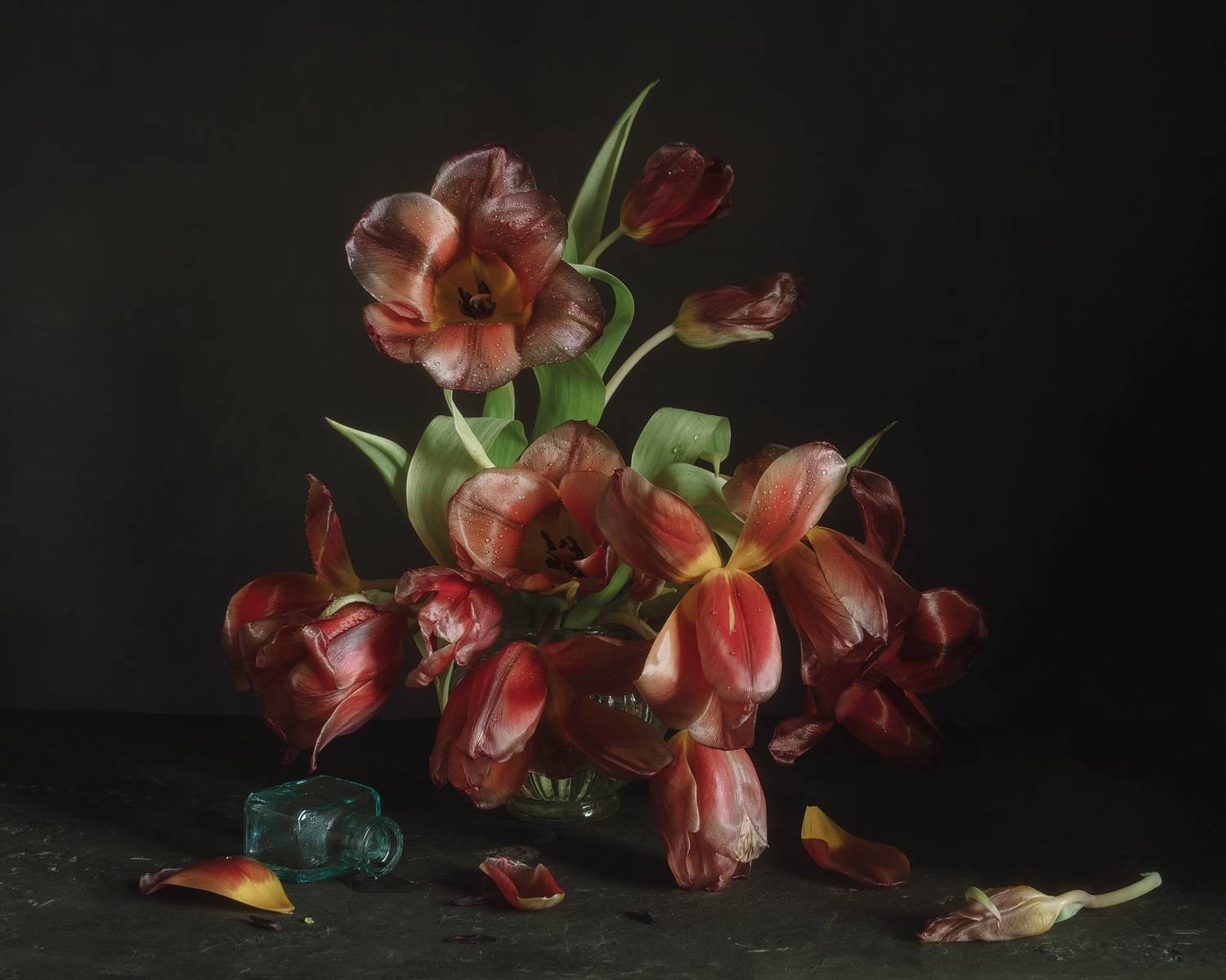 , Виктория Шаманова