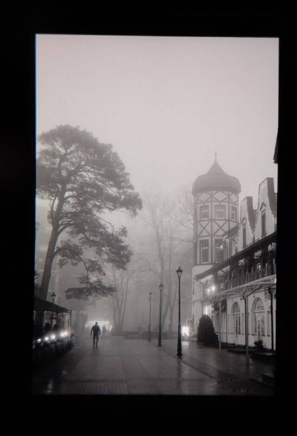 , Елена Осокина