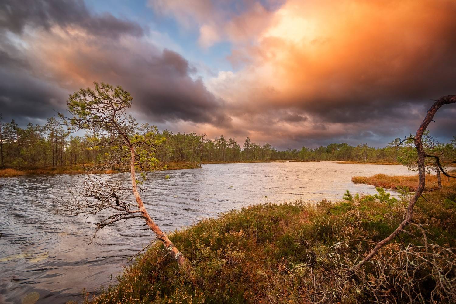 , Ширгин Сергей
