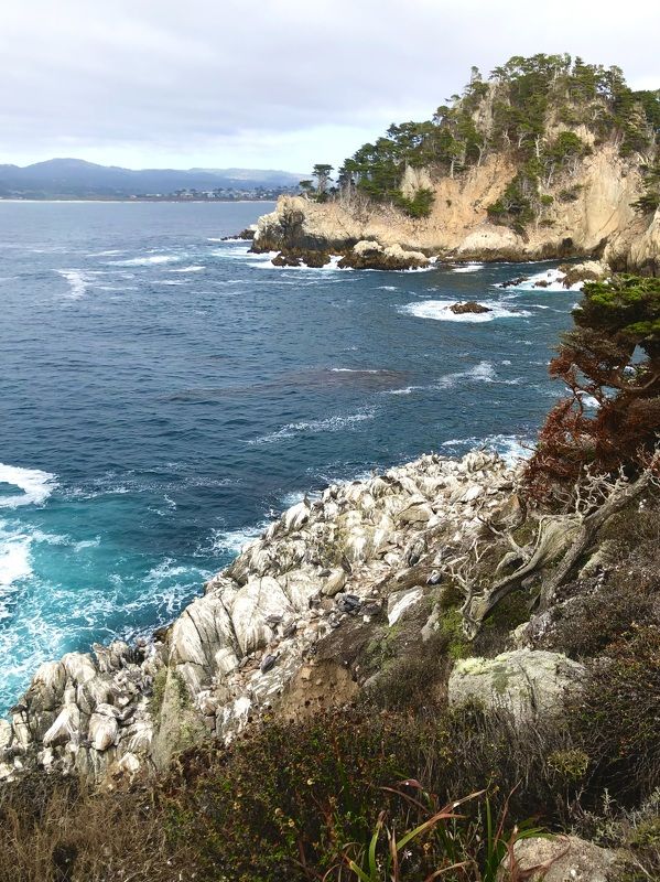 Point Lobos State Marine Reserve фото превью