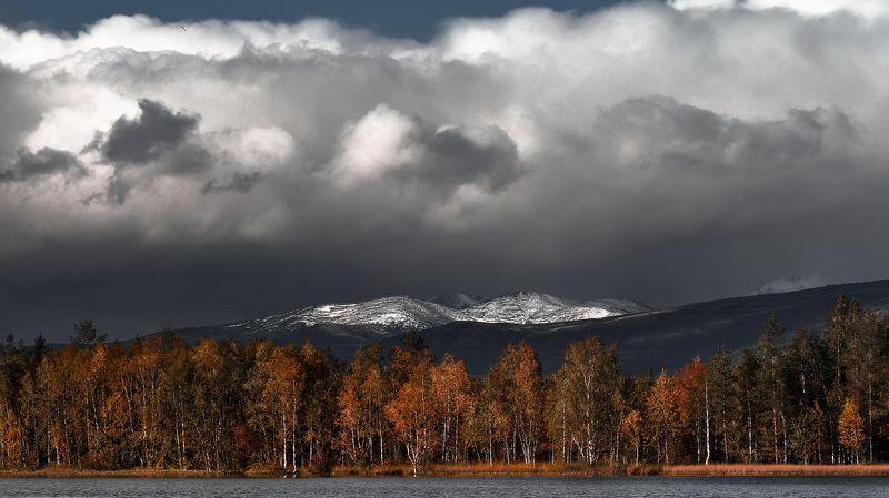 скоро зима фото превью