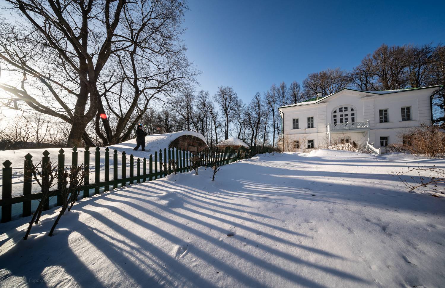 , Алексей Горохов