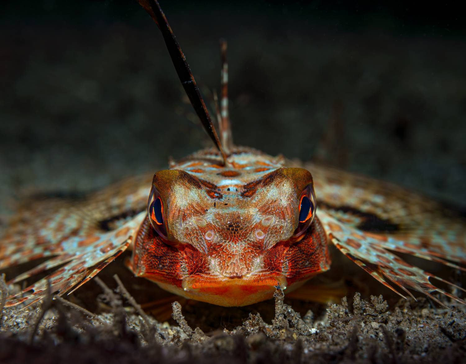 , Савин Андрей