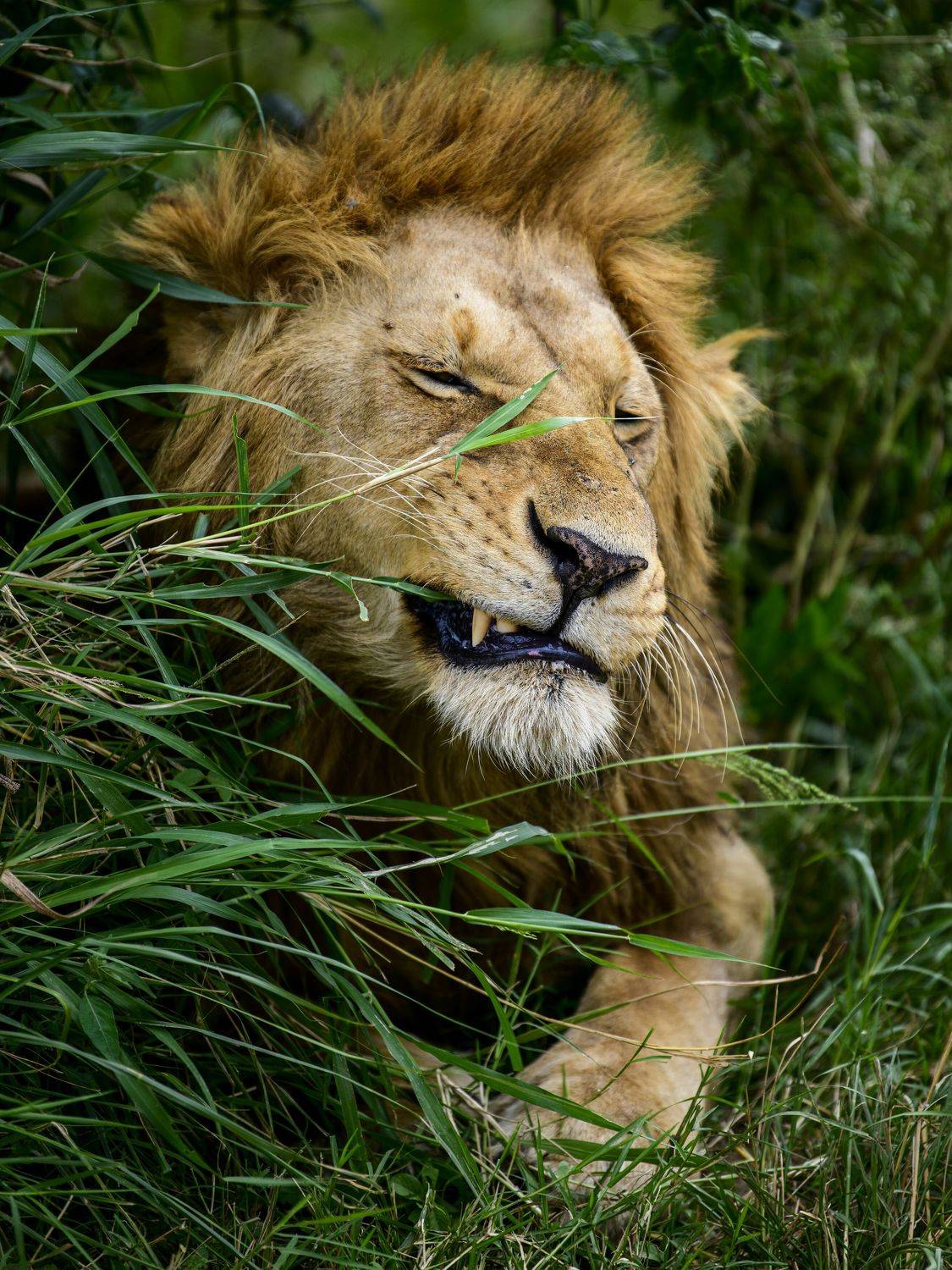 , Пупонин Сергей