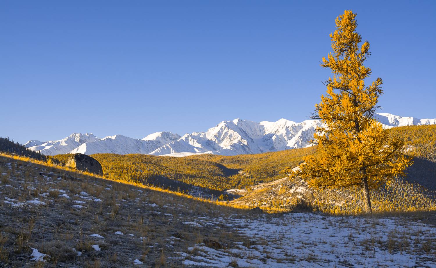 россия, горный алтай,осень, Андрей Поляков