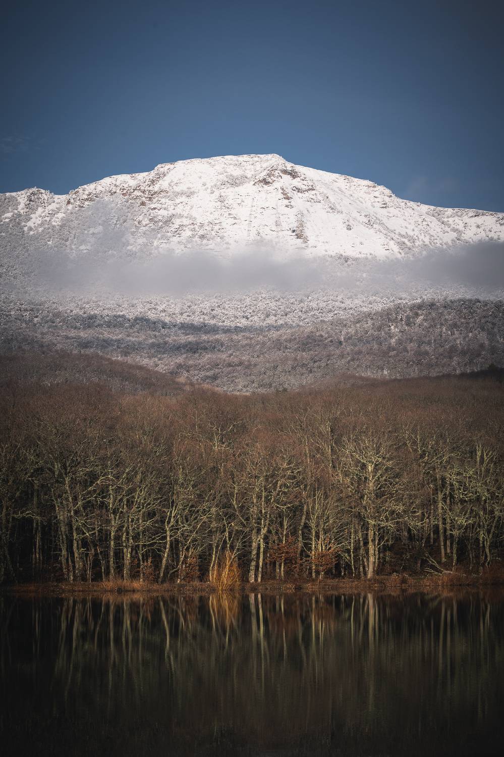 , Дмитров Андрей