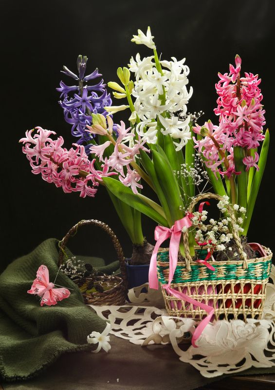 цветы, гиацинты, весна, корзинка Гиацинты фото превью