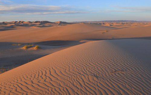 Фототур в Монголию. Пески Хонгорын элс