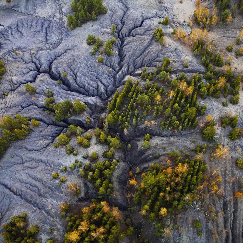 Суворов. Вертикаль. фото превью