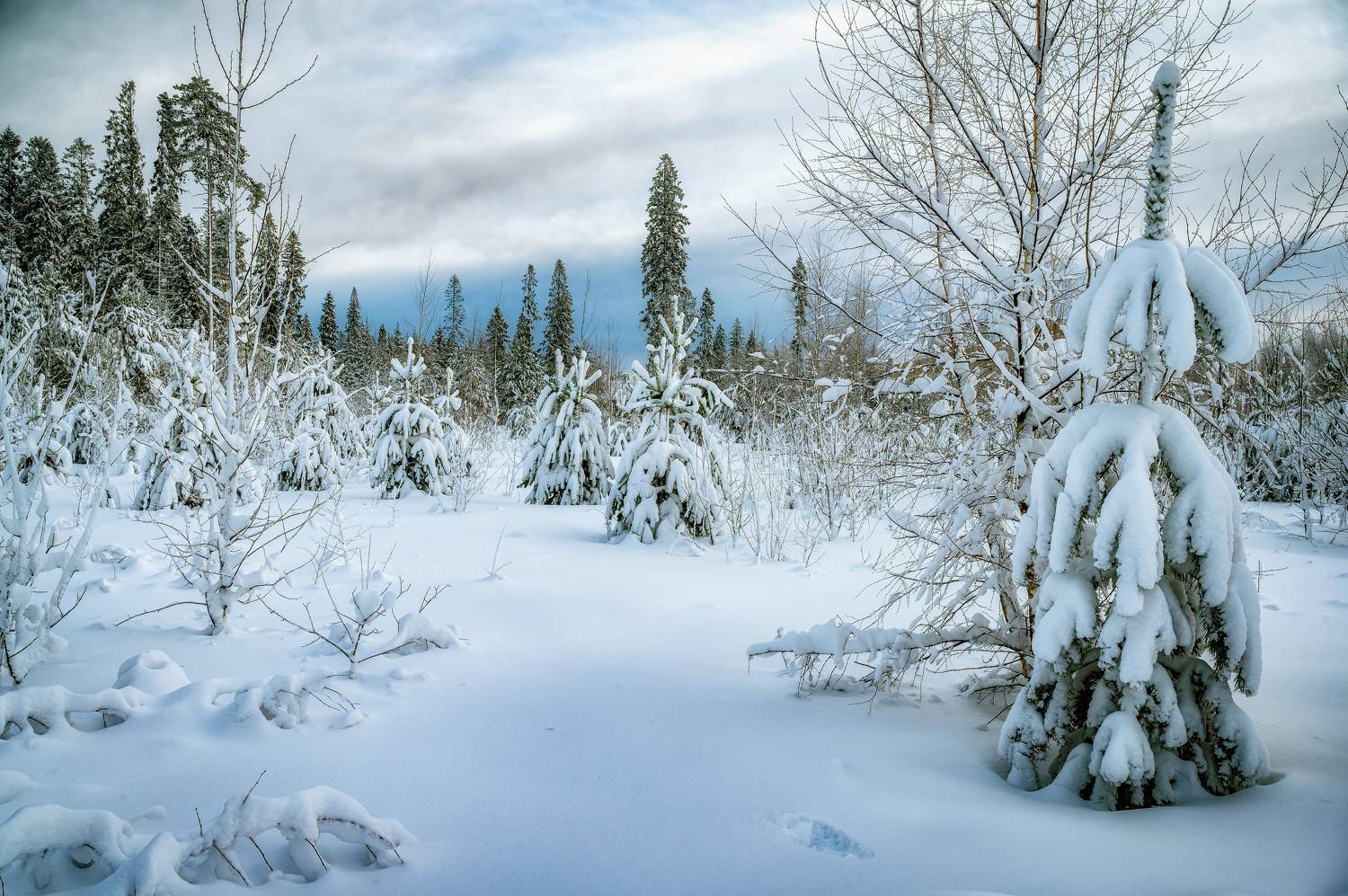 , Васильев Андрей