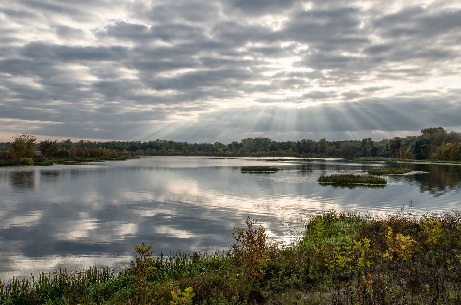, Александр Березуцкий