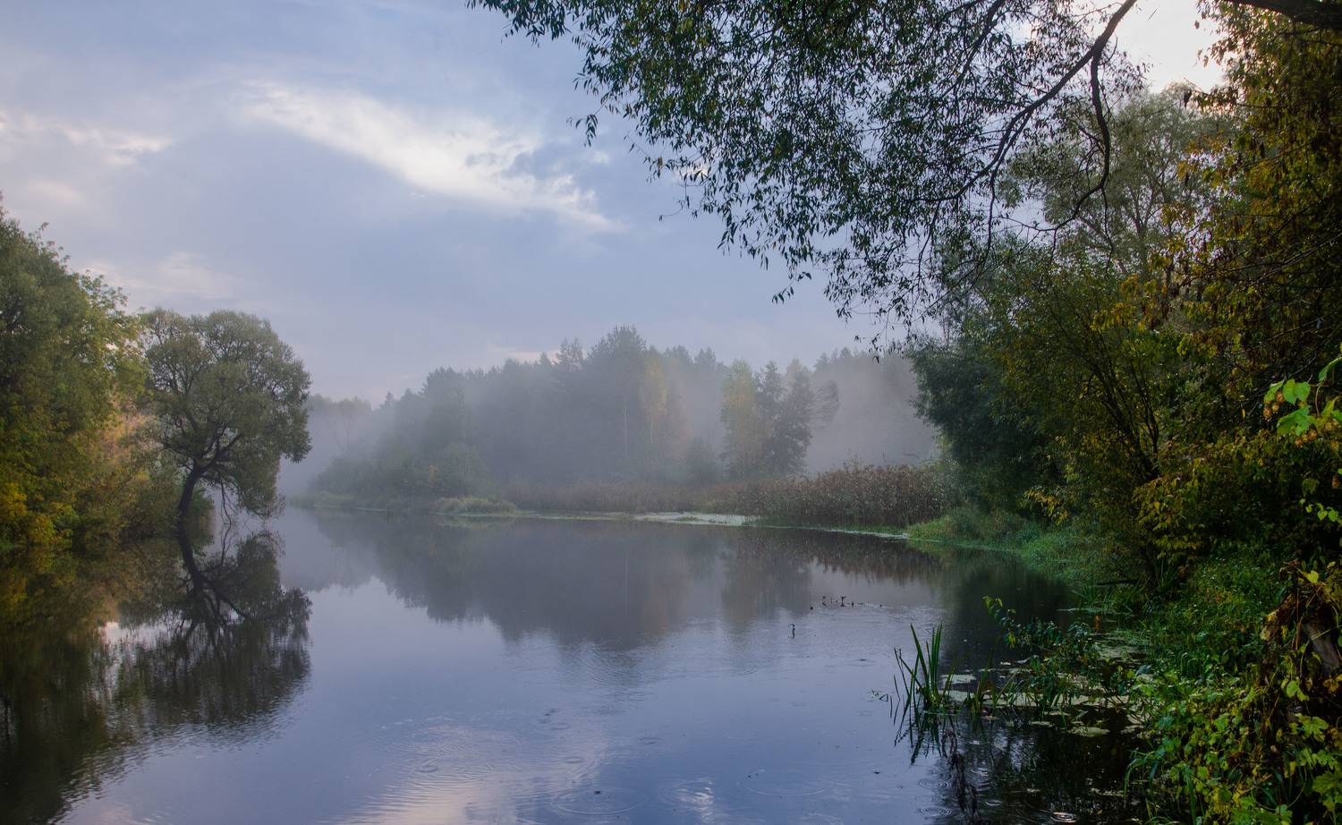 , Александр Березуцкий