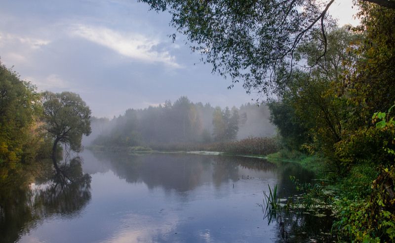 Утро на реке фото превью