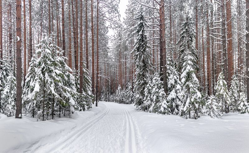 На прогулке. фото превью