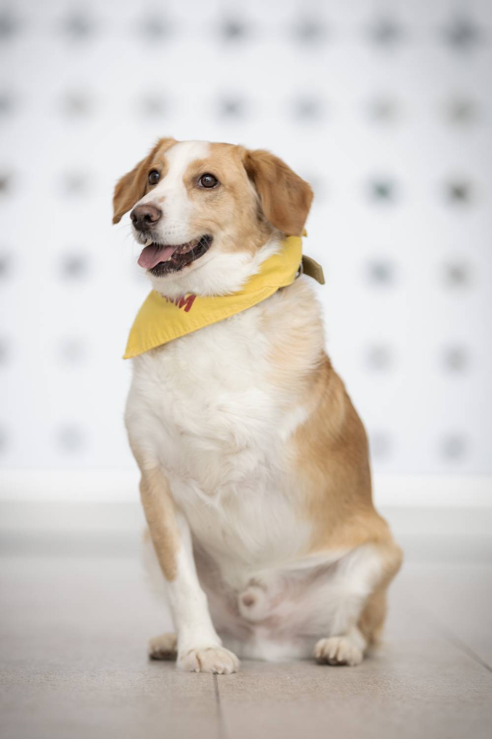 , Мария Романова