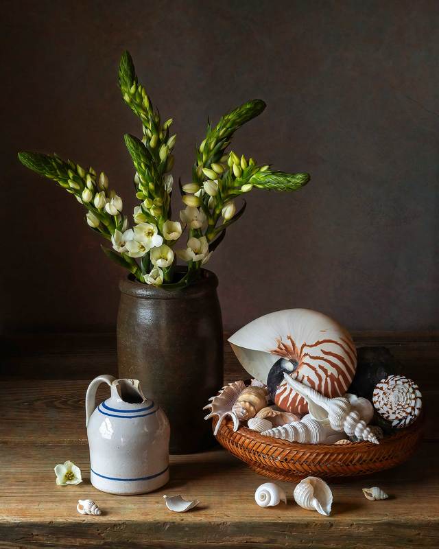 seashells, flower star of bethlehem, still life photography Still life with Seashells фото превью