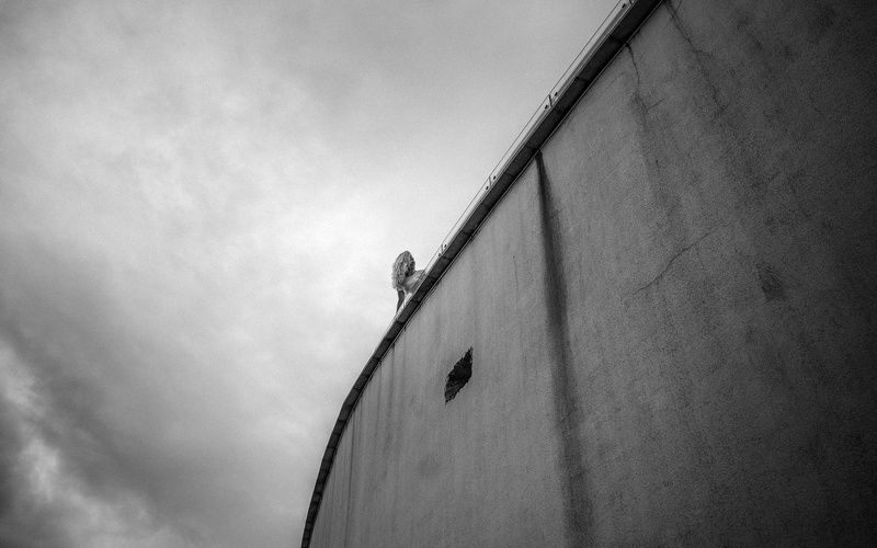 *** фото превью