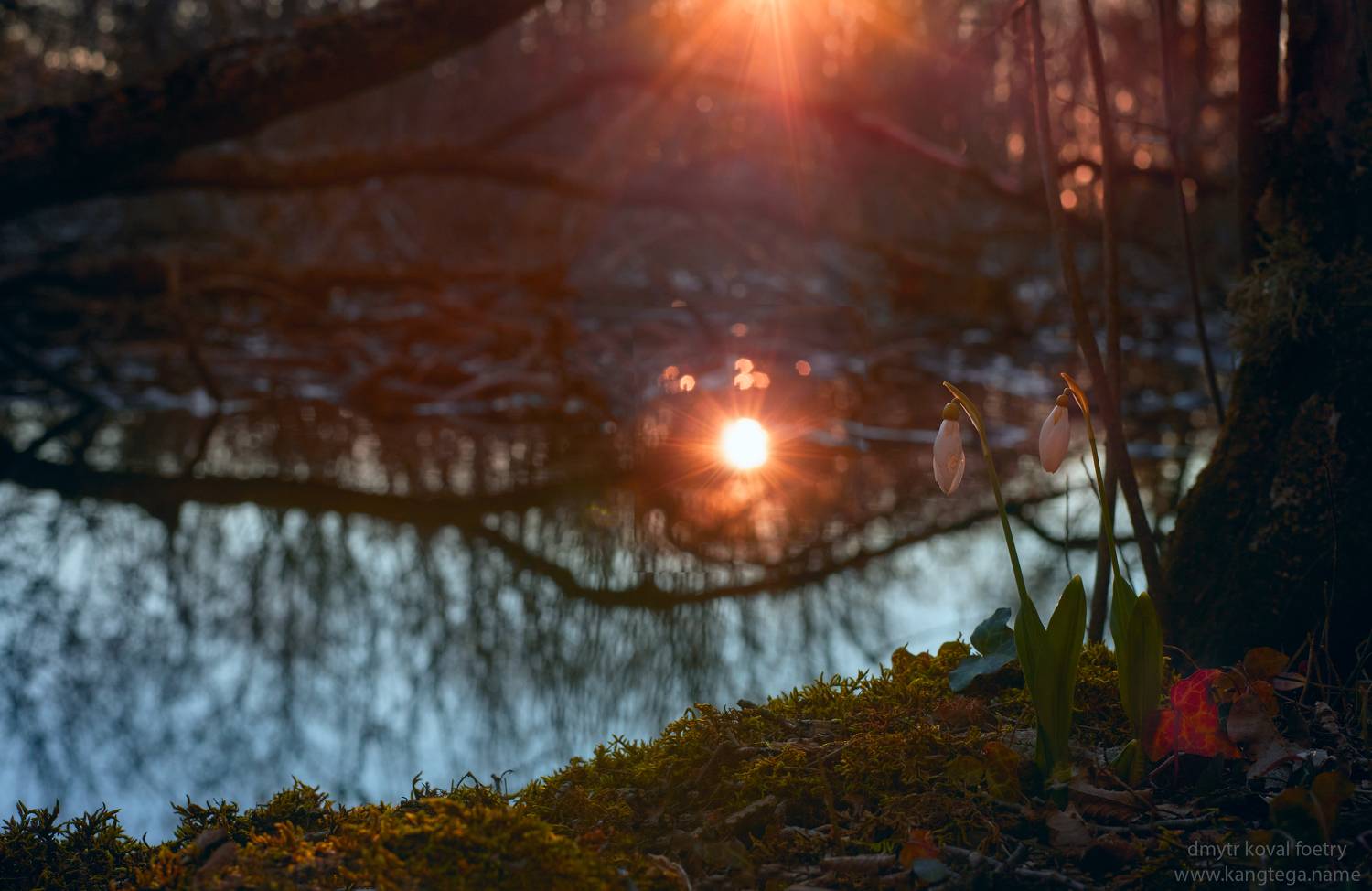 пейзажемагьё, пейзаж-как-виденье, Коваль Дмитр