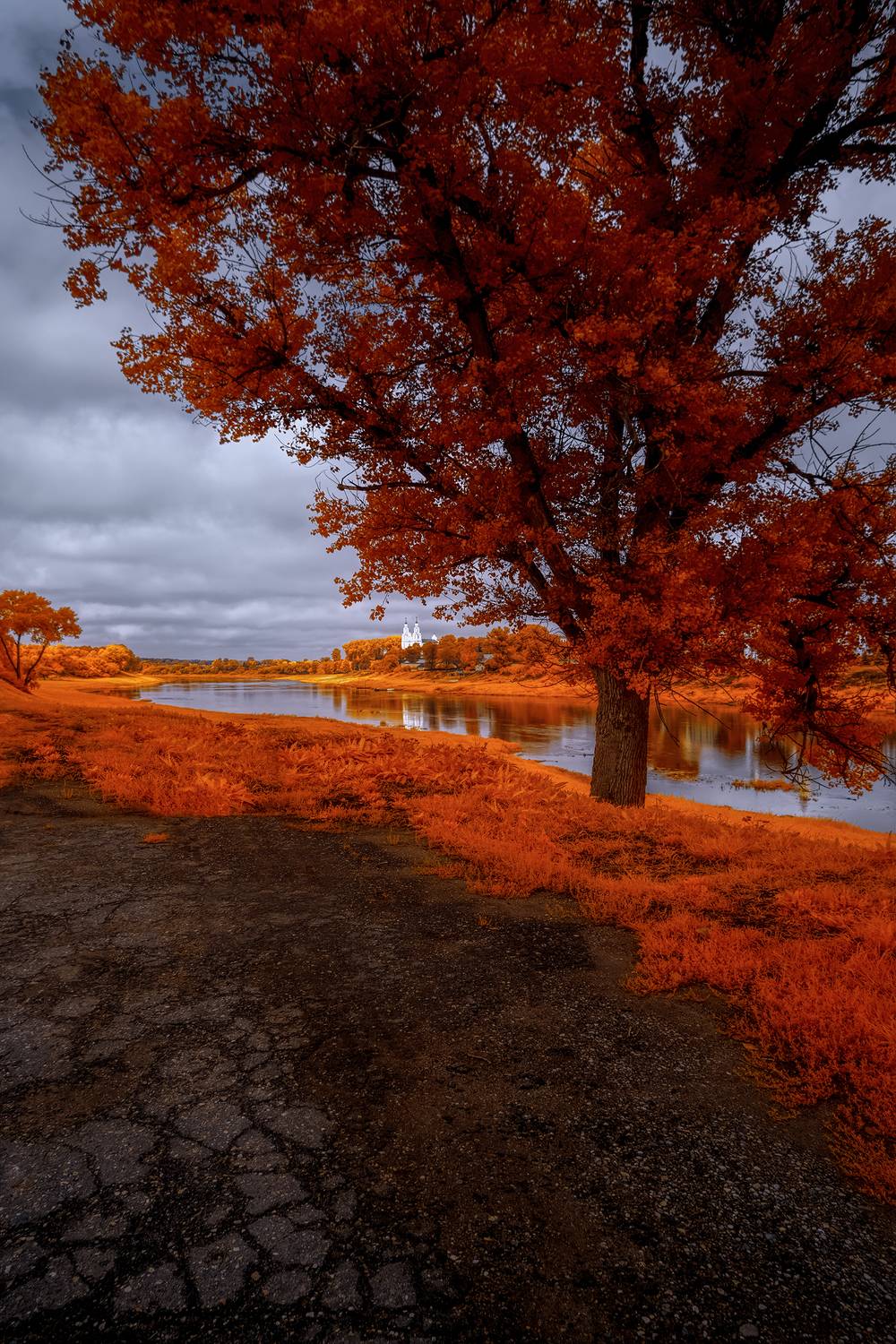 infrared,ик-фото,инфракрасное фото, инфракрасная фотография, пейзаж, лето,  Sixten (Сергей)