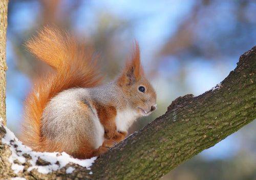 Носик припудрила 