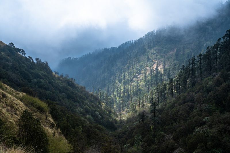 непал, гималаи, горы, лес, солнце, облака, туман, nepal, himalaya, mountains, forest, sun, clouds, fog  фото превью
