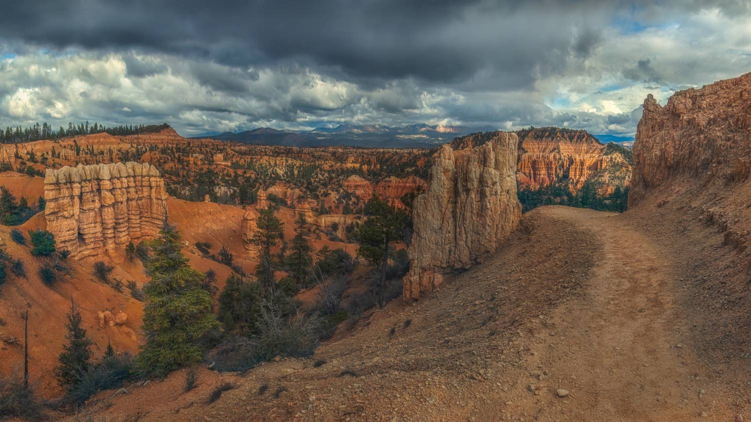 , Шварцман Евгений