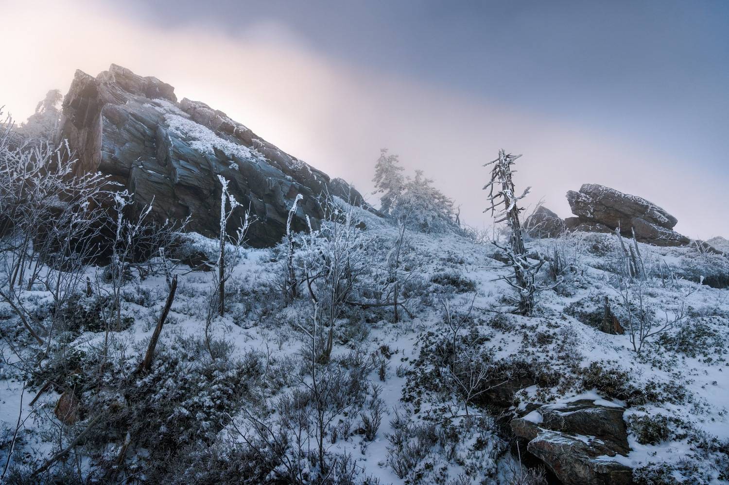 , Шимаковский Юрий