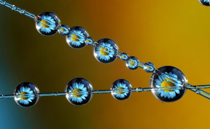 Отражение фото превью