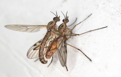 Без названия