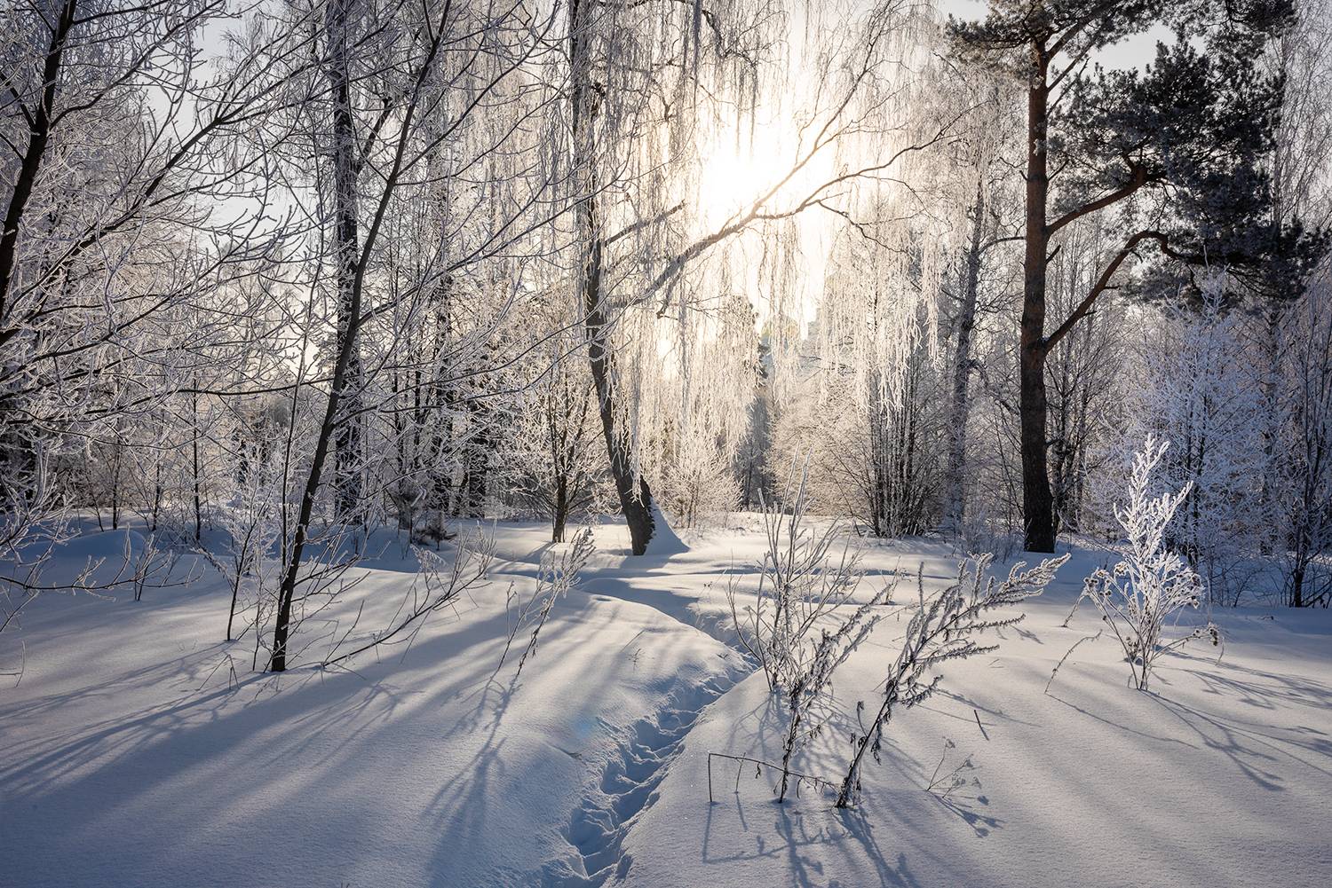 , Дмитрий Асеев
