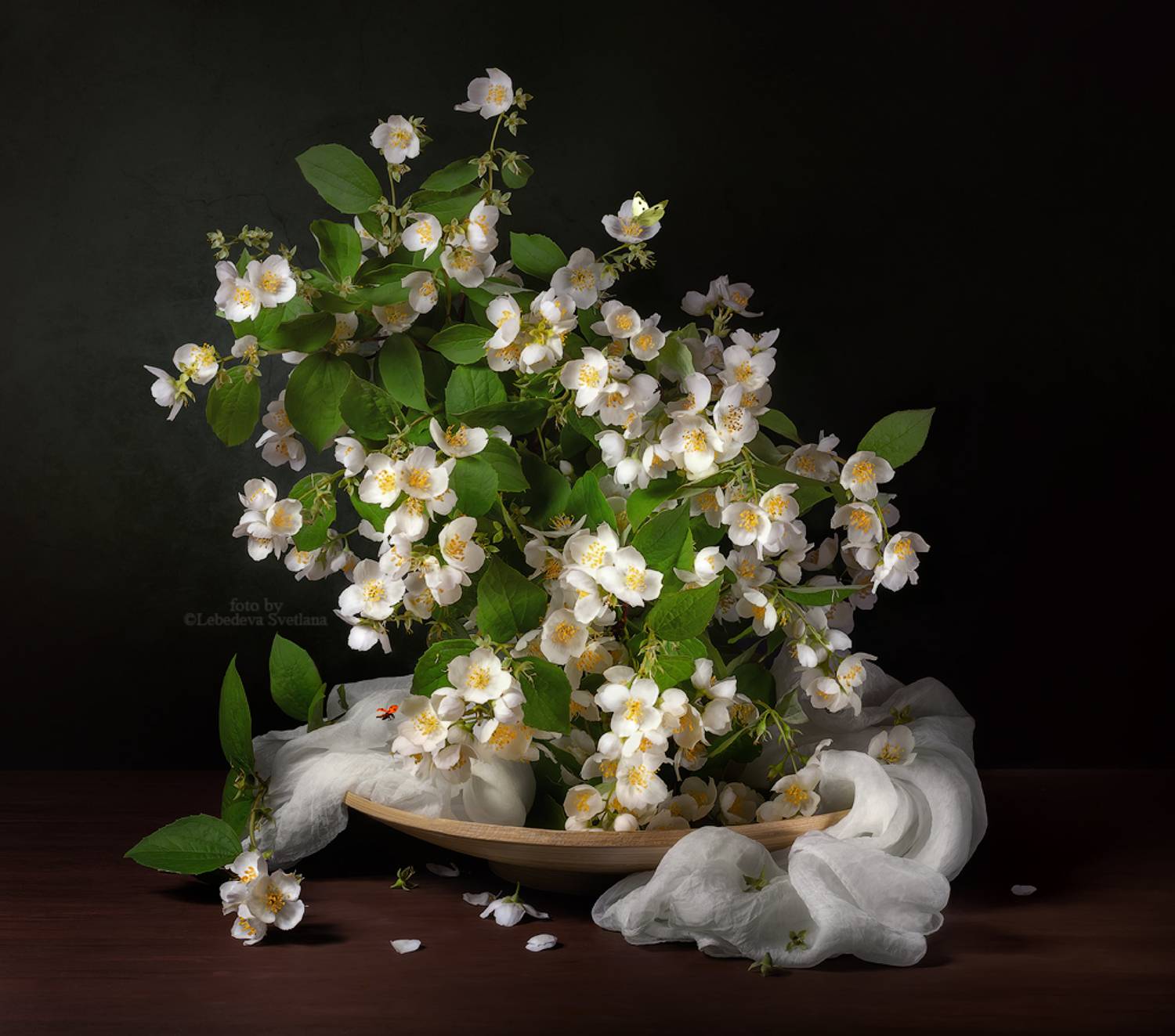 букет,цветы,натюрморт, Светлана Л.