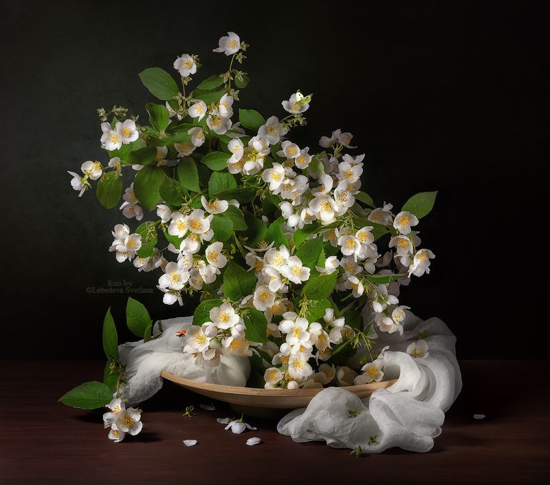 букет,цветы,натюрморт Жасминовый аромат фото превью