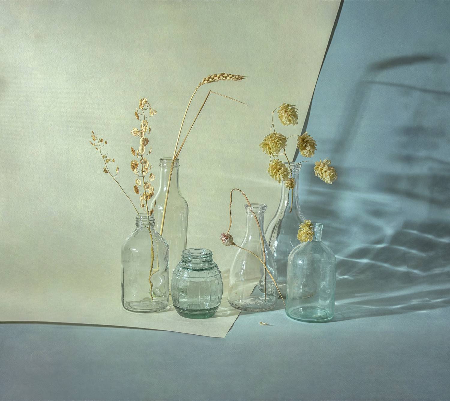 , Хаева Марина