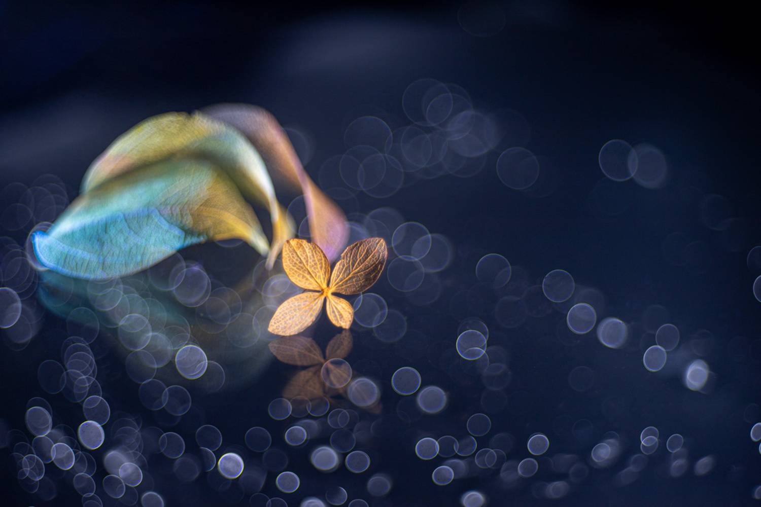 close-up, Игорь Копцев