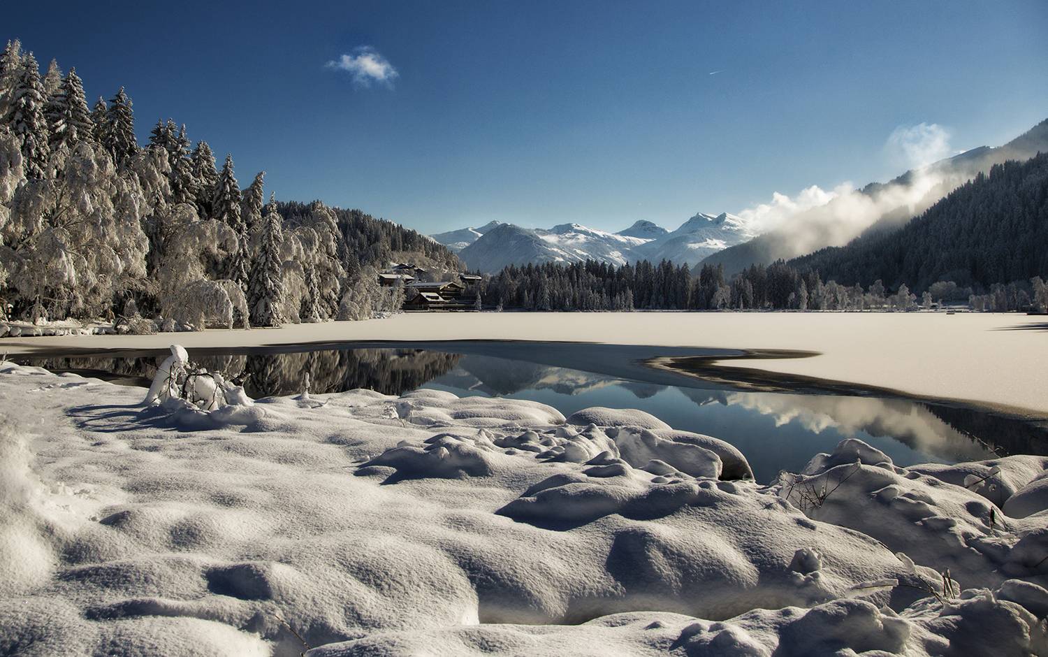 , Desislava Kuleshova