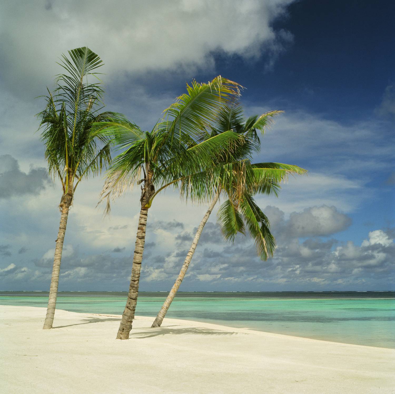 film, analog, analog photo, film photography, пленка, плёночная фотография, medium format, 120mm, 120 film, 6x6, средний формат, bronica, bronica sq-a, Zenzanon, Zenzanon80mm, Kodak, Ektachrome, E100, Ektachrome E100, Kodak Ektachrome E100, Попов Алексей