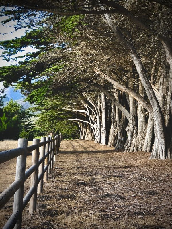 Partington Cove фото превью