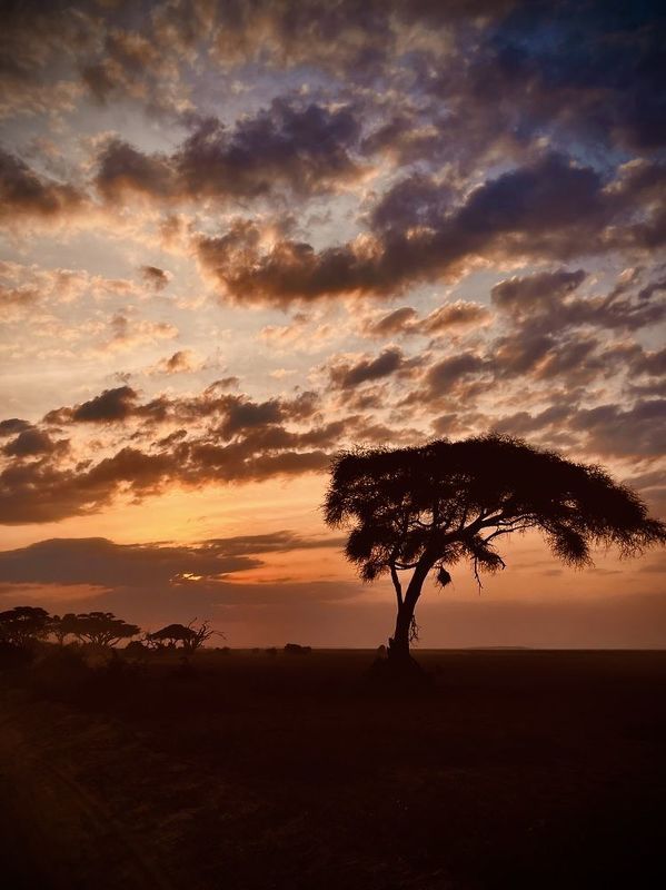 Amboseli national park фото превью