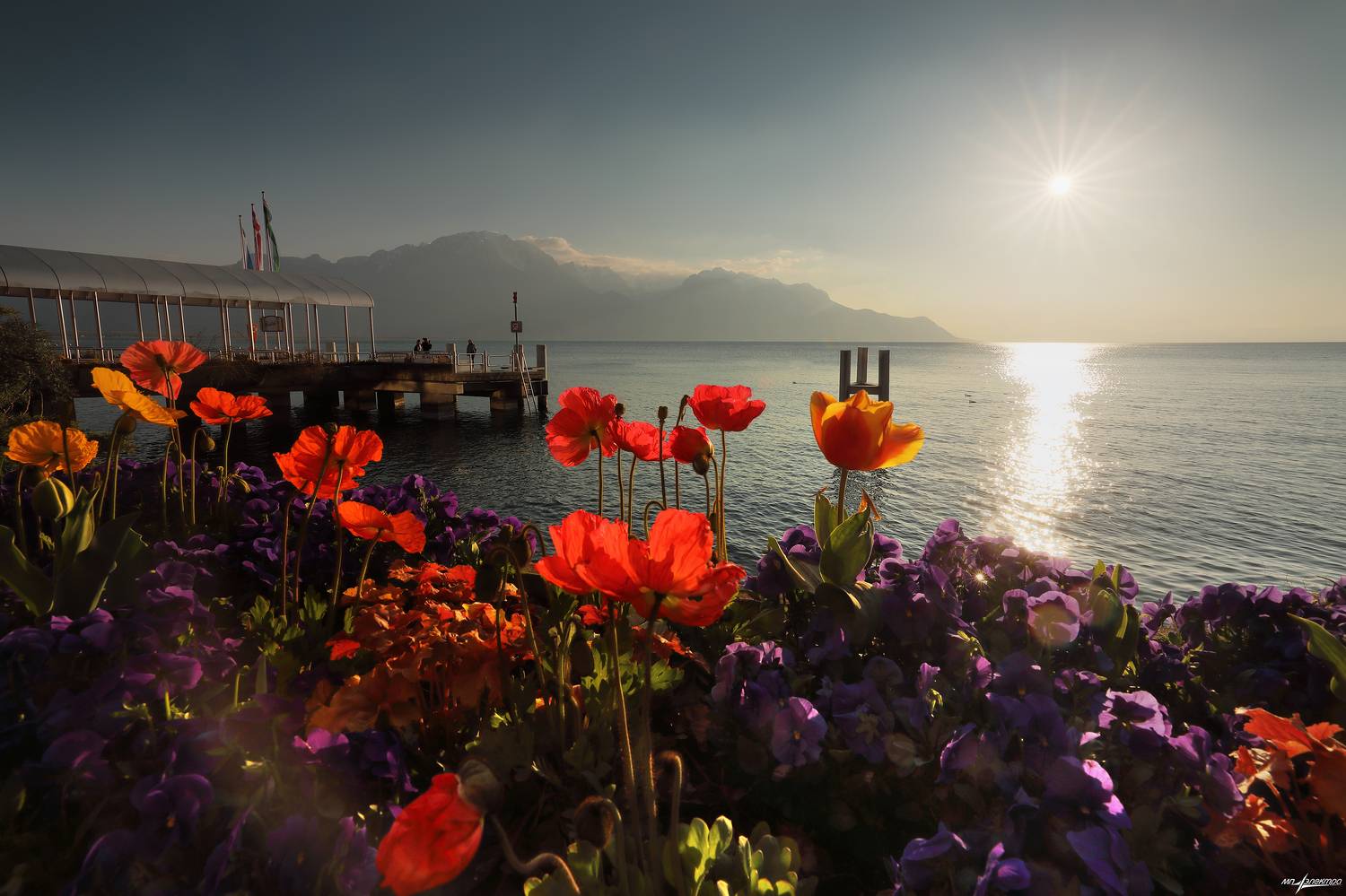 swiss,швейцария,весна,montreux, Матвеев Николай