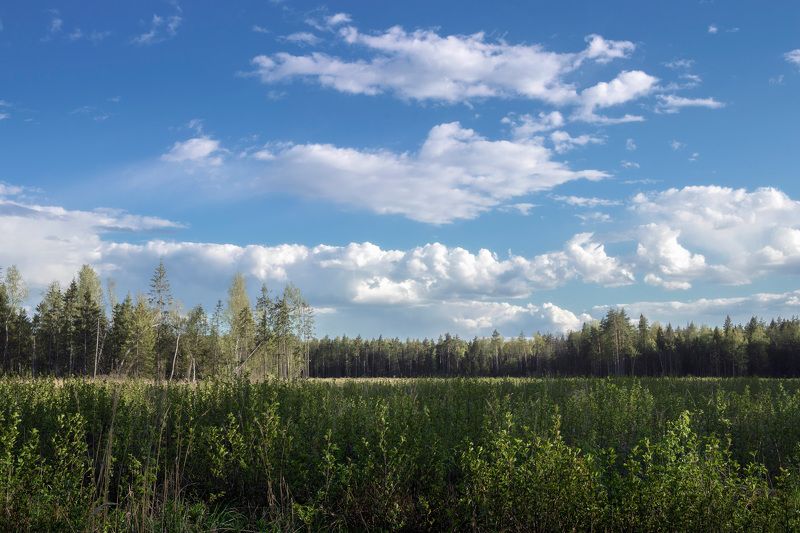 На лесной осенней поляне фото превью