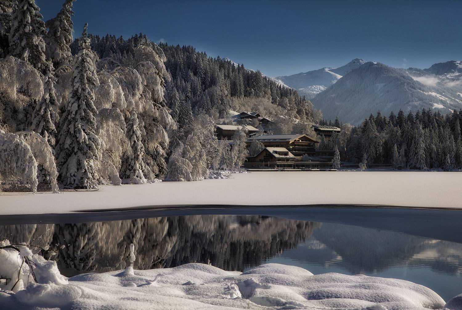 , Desislava Kuleshova