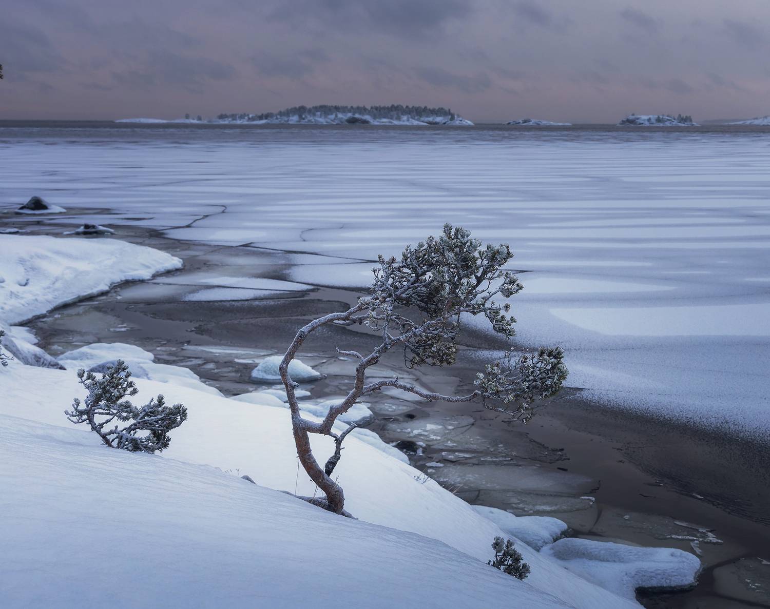 , Грамаков Юрий