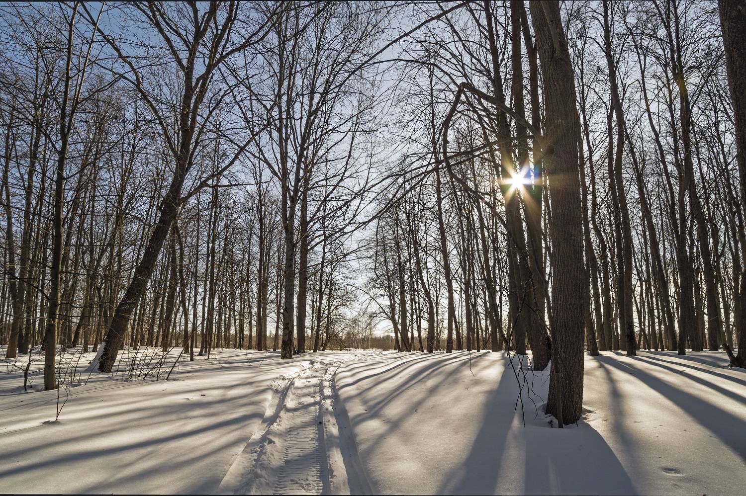, Шитов Александр