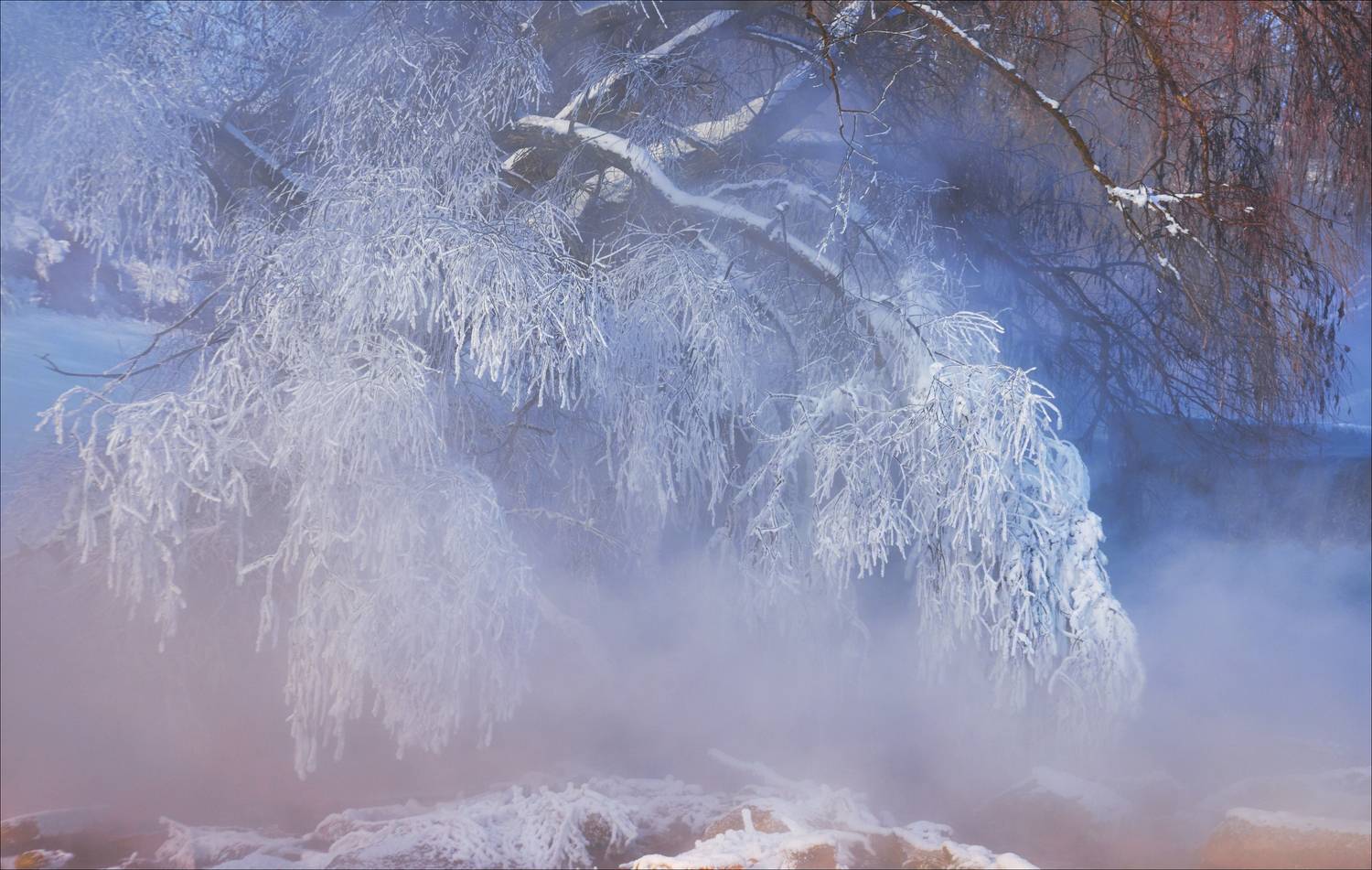 , Богорянов Алексей