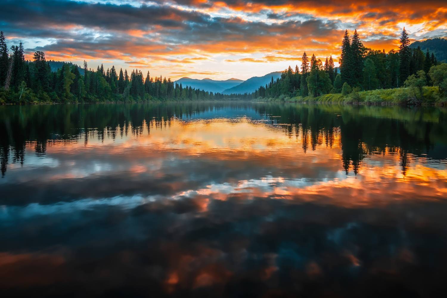 , Nikitin Alexander