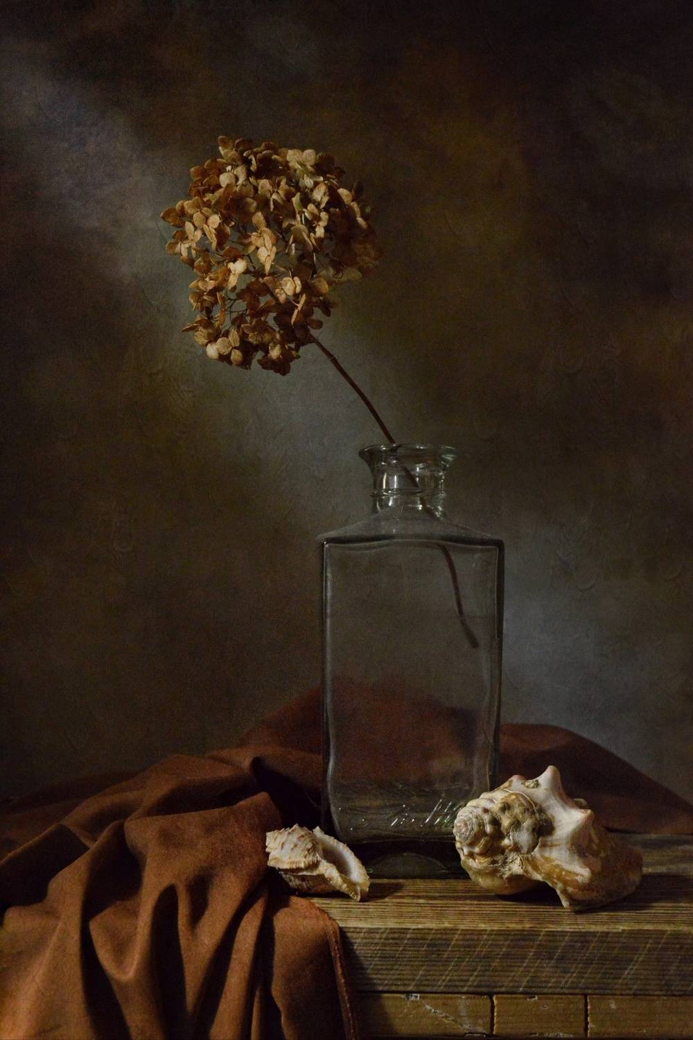 , Дина Полухина