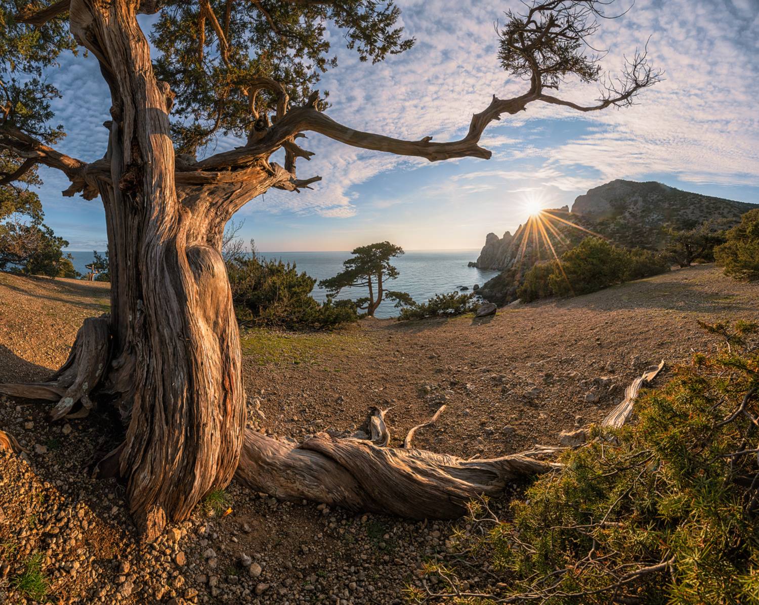 россия, крым, новый свет, караул оба, закат, февраль, Мысливцев Николай