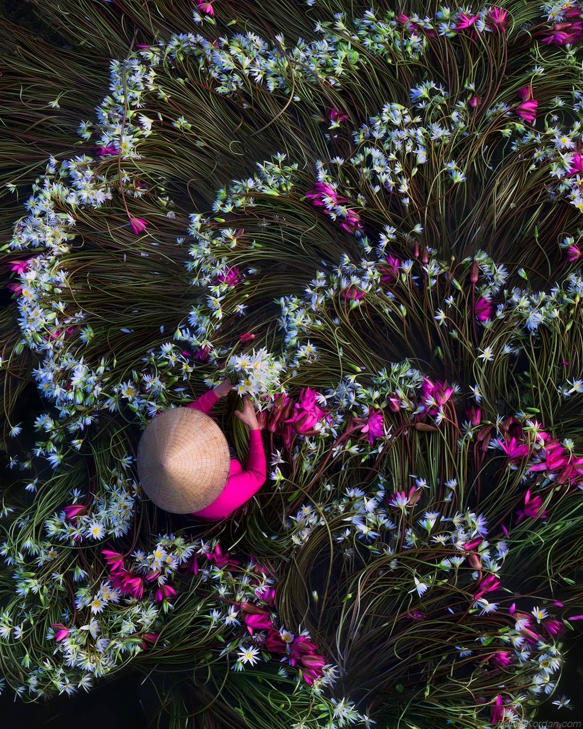 , Даниил Коржонов